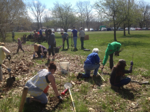 Planting at the Glen