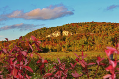 Fall at Metcalfe Rock