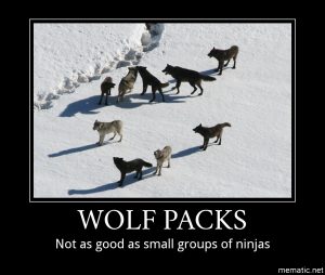 004-wolfpacks