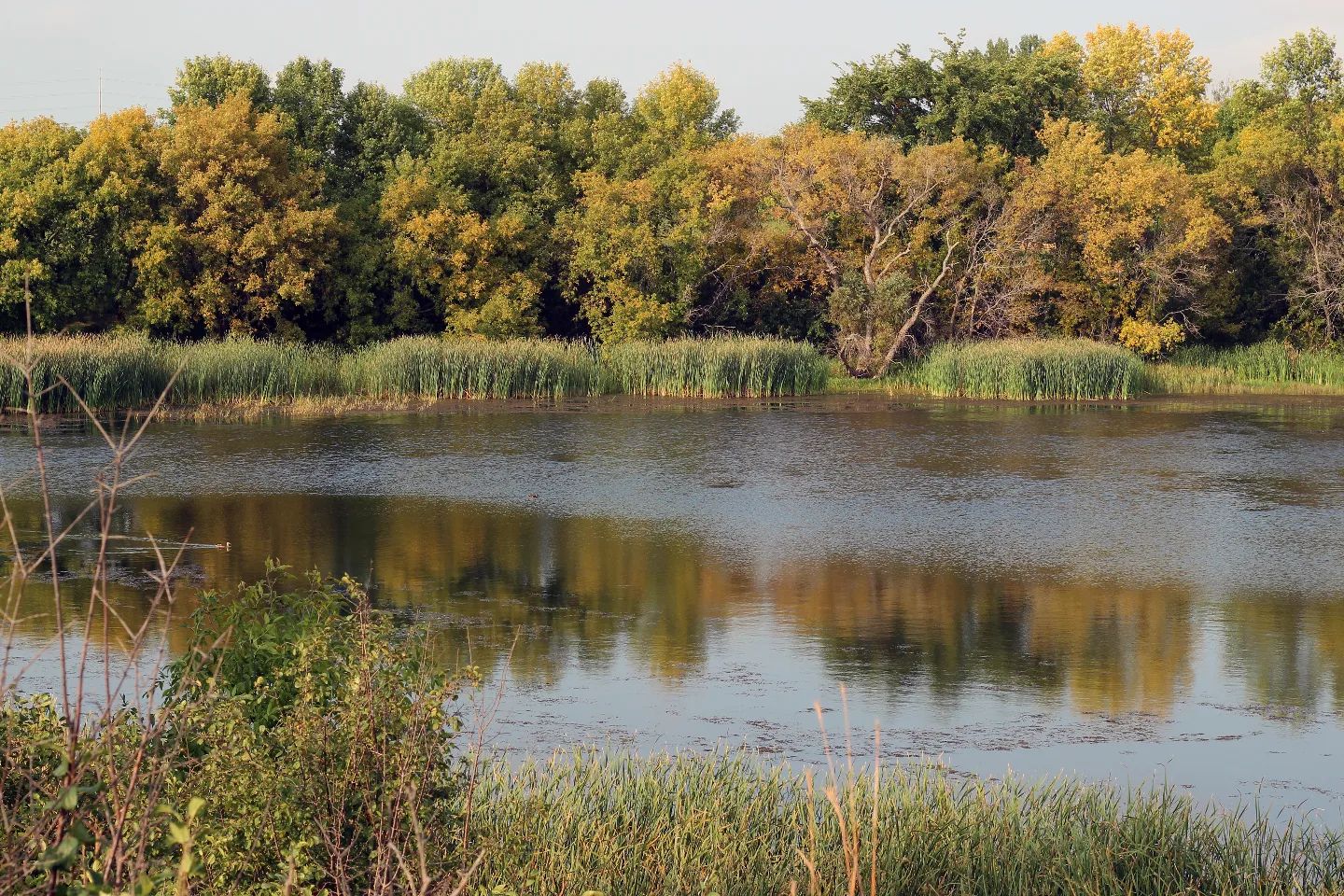 Have you done your research on the Proposed Bill 23 (More Homes Built Faster Act) and Amendments to the Greenbelt Plan?
The Ontario government is soliciting comments from the public on these proposed changes. Submit your thoughts on Bill 23 by midnight this Thursday, November 24. The comment submission window for the Amendments to the Greenbelt Plan extends a little longer, through December 4th.
Links to submit comments on both of these can be found in our bio.
#ontario #useyourvoice