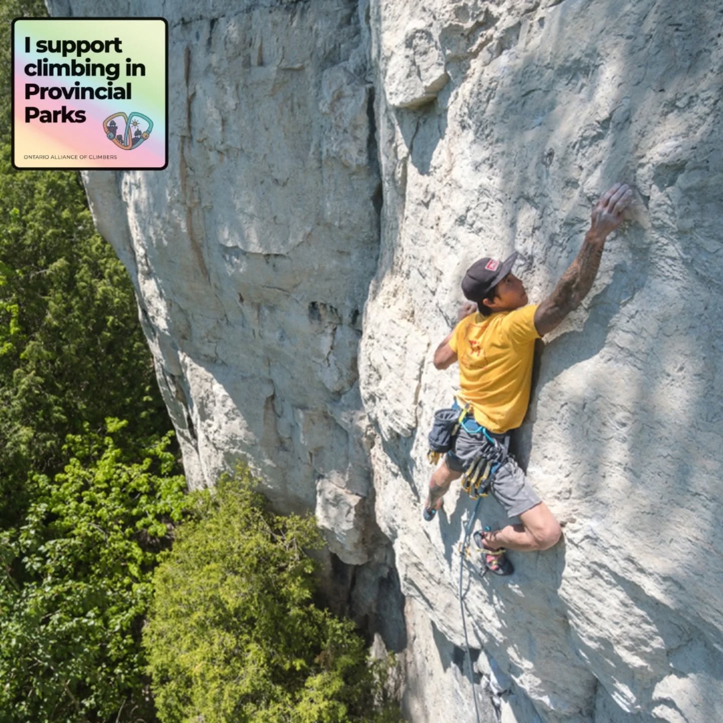 For decades, climbers have quietly cared for Devil’s Glen, stewarding trails, educating new climbers, and practicing Leave No Trace. Now, that commitment is being formally recognized. This amendment validates climbing as a legitimate, supported activity in provincial parks. That’s monumental.
Your comment helps ensure this recognition becomes permanent policy—not just permission by silence. Let’s make our presence official.
Support climbing in provincial parks.
Provide comments to support Amendment ERO 019-8238
🔗 Link in bio
📸 @willtam85
#ontario #access #climbing #devilsglen #SaveOntarioClimbing