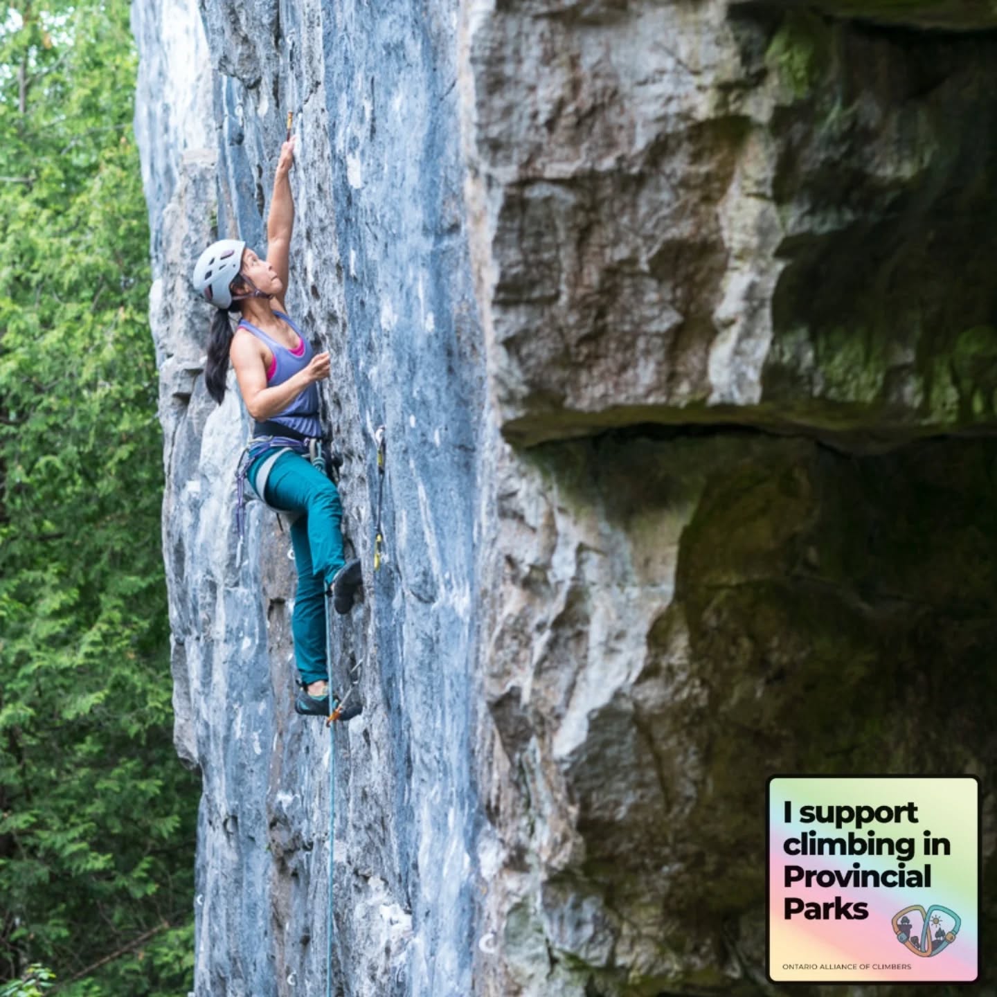 You might not climb at Devil’s Glen—but this amendment matters to you.
Why? Because it sets precedent. If Ontario Parks sees that climbers can collaborate and support environmental priorities, more climbing areas may follow.
This is our chance to show up as a united community and say: we care, we belong, and we’re ready to help shape the future of access in Ontario’s parks.
Support climbing in provincial parks.
Provide comments to support Amendment ERO 019-8238
🔗 Link in bio.
📸 @willtam85