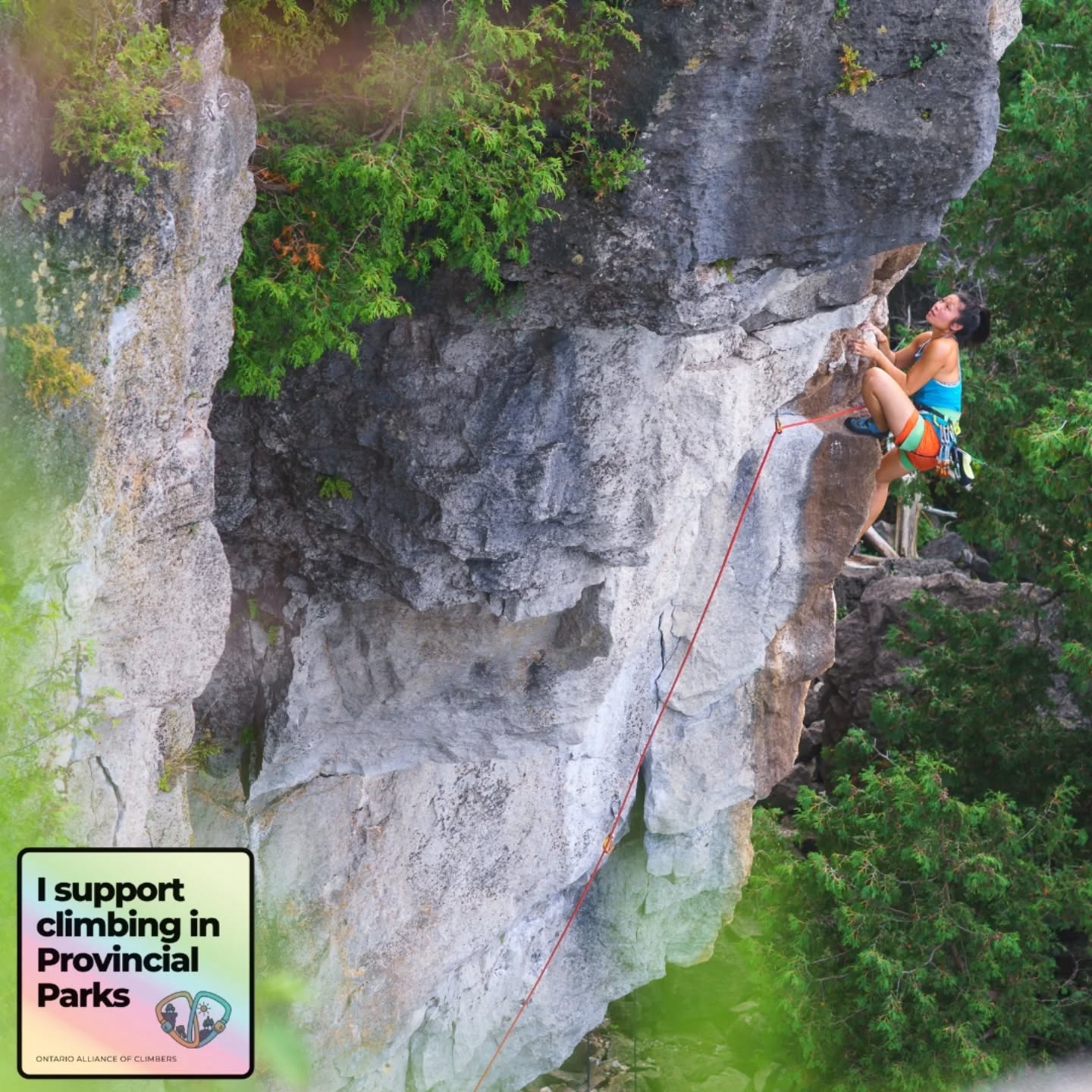 We don’t often get invited into the policy-making process. But right now, MECP is asking for our input. That window closes Sept. 19 — and it’s not guaranteed to open again for a long time.
This is our one chance to secure formal, sustainable access at Devil’s Glen. And it’s a signal to the government that climbers are ready to be active partners in the stewardship of public lands.
Don’t wait. Don’t assume someone else will do it. Take 5 minutes, add your comment, and share this with your climbing partners.
The future of climbing access—and our role in protecting wild spaces—depends on moments like this.
Tips on making an effective comment:
- Create an account, and sign your comment with your real name. Anonymous comments are permitted, but we've learned more weight will be given to those with more specifics provided. Already left your comment? You're able to edit it if you have an account, or leave a new comment! All personally identifying information will be redacted before comments are published for public consumption.
- Be specific about how this amendment affects you personally. Is climbing your hobby, your main form of exercise, critical to your mental health, and/or a primary way in which you connect with others or the environment? Is it a family activity for you? Perhaps it's a priority when traveling. Share how this affects you!
- Share your thoughts on how balancing conservation with recreation creates a sustainable plan for generations to come.
For more examples, see 🔗 ClimbInParks.ca (also linked to in our bio)
Support climbing in provincial parks.
Provide comments to support Amendment ERO 019-8238
🔗 Link in bio.
Comments close Sept. 19
📸 @willtam85
#ontario #climbing #access #devilsglen #SaveOntarioClimbing