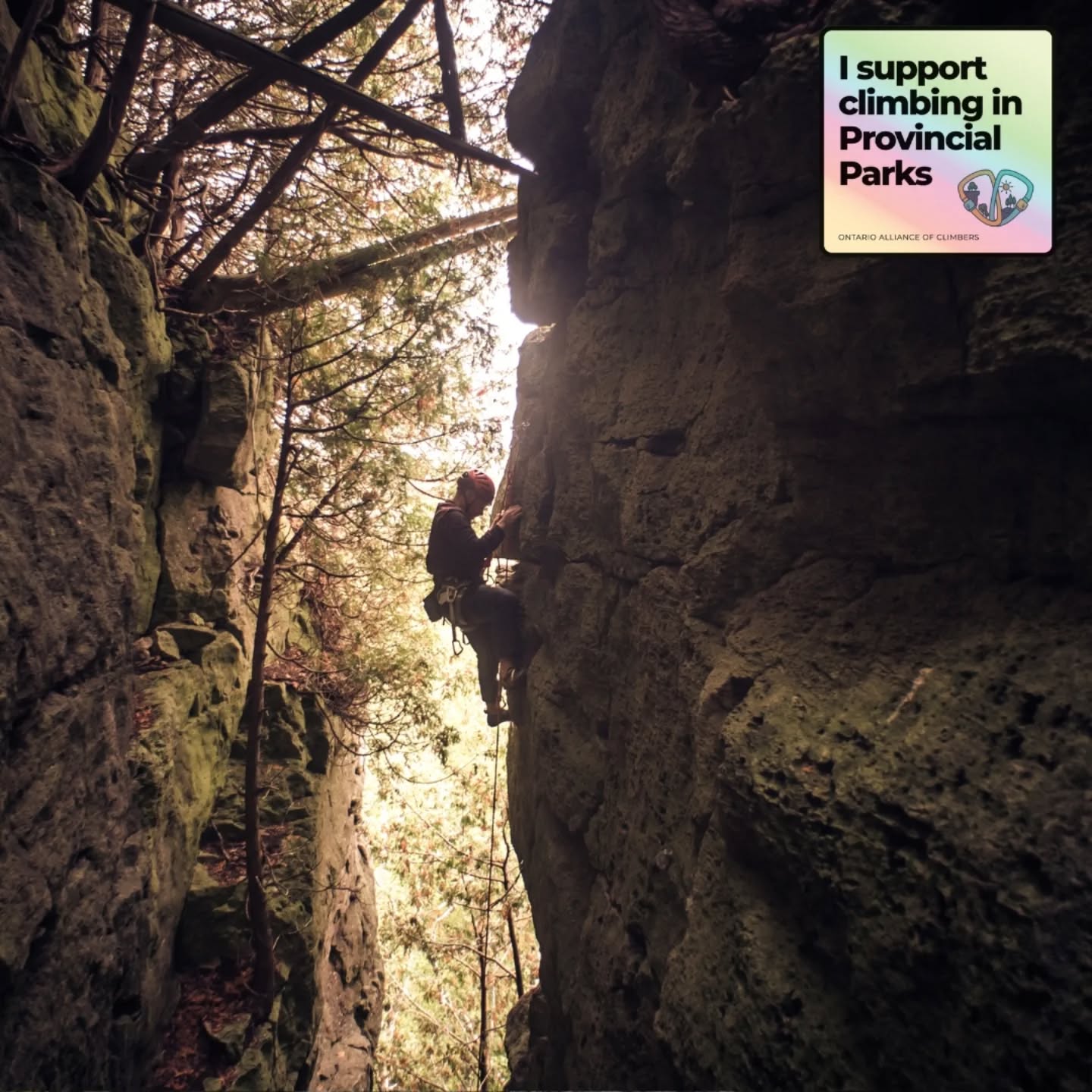 TODAY IS THE LAST DAY. The comment window for ERO 019-8238 closes at 11:59pm tonight.
You've gotten us this far. Help us take it to the chains! Let's make climbing an official part of the Devil's Glen Park management plan.
Support climbing in parks.
đź”— Link in bio.
#SaveOntarioClimbing
📸 @jillard.starts.with.jay