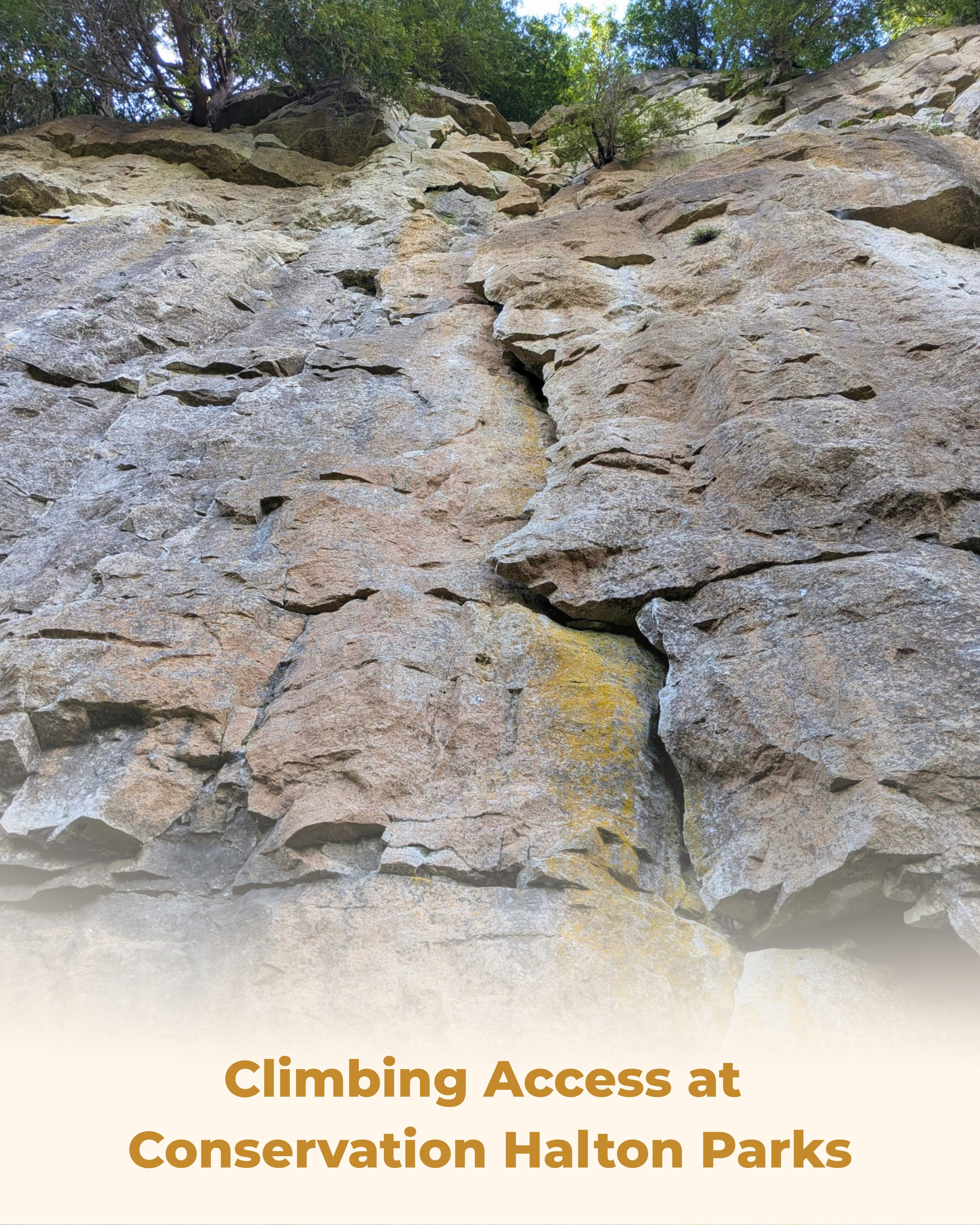Unauthorized route development recently occurred at Kelso (a Conservation Halton Park), including a retro-bolt of Alan's Layback (5.7 trad), as well as the establishment of additional sport climbs.

@conservationhalton (CH) is the land manager of Kelso, Mount Nemo, and Rattlesnake Point. The access plan established with the OAC and the climbing community requires CH authorization for any development or maintenance occurring in their parks - whether it be new route development, tree cutting, trail building, or retro-bolting of existing routes.

This recent route development at Kelso was done without authorization. CH has decided that these unauthorized routes will be removed and requested the OAC facilitate their removal. The bolts from Alan's Layback and another new route have already been removed by volunteers.

“The addition of any permanent climbing hardware, creation of new routes, or modification of existing routes (or altering of/tampering with existing hardware – including rock climbs) is strictly prohibited without the express written consent of Conservation Halton” said AJ Leeming, Senior Manager, Programs and Services. “These actions can lead to the creation of unmanageable and possibly unsafe routes that could be detrimental to the environment and our climbing community. Anyone found or reported altering trails may see themselves removed from the park and potentially banned from CH parks via Tresspass notice.”

The OAC and CH have an excellent working relationship that allows for the climbing we enjoy in their parks. It is very rare that land managers are as supportive of climbing as CH has been. When the OAC has discussions with land managers, we often reference our relationship with CH because of their tremendous support of the climbing community and strong partnership.

To maintain this access in Conservation Halton Parks, we must adhere to the terms of the access plan. That means if there is a desire to establish new routes, or a need to alter the environment and/or make any climbing hardware alterations, you must reach out to the OAC first. CH trusts the OAC's judgment, and is more than happy to consider any reasonable proposal we present.