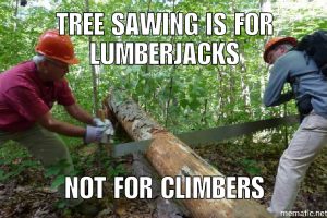 Tree Sawing is for Lumberjacks, not for Climbers