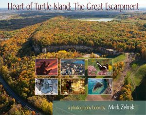 Turtle Island book cover